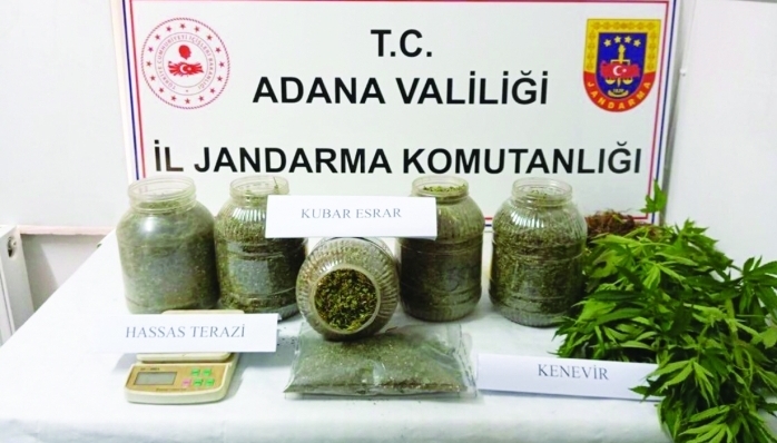 Adana'nın Saimbeyli ilçesinde, 4 kilo 250 gram esrar ve 60 kök Hint keneviri ele geçirildi.