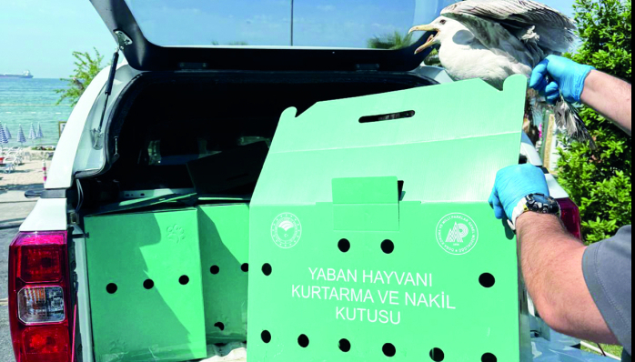 FAHRETTİN ULU TAKDİR TOPLADI 