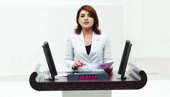 MİLLETVEKİLMİ KIŞ, “İHALE VAR, FİRMA VAR, YOL YOK!” DEDİ VE SORDU
