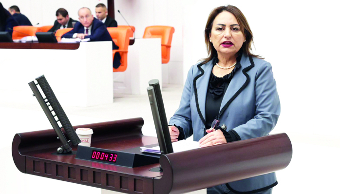 Şevkin, iktidarın ekonomi politikasızlığının halkı perişan ettiğini vurguladı