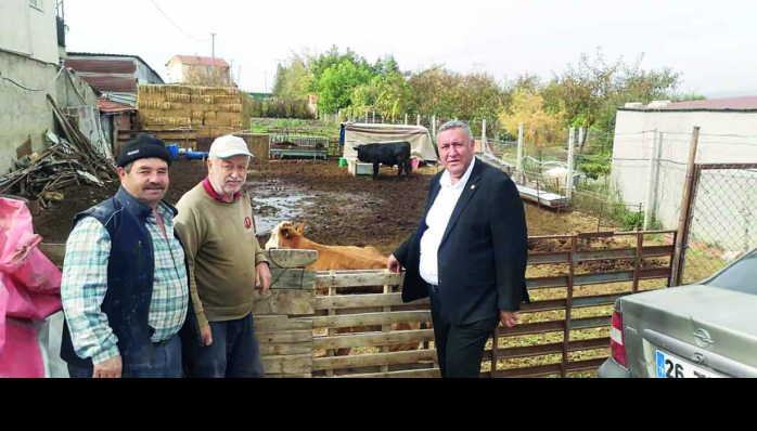 “Çiftçi zarar ediyor, besici zarar ediyor, üretici zarar ediyor” 