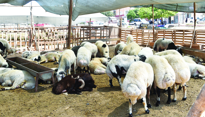 Vatandaşa hizmette sınır tanımıyor 