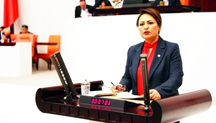 CHP Adana Milletvekili, TBMM Başkanlık Divanı Üyesi Dr. Müzeyyen Şevkin, ekonomi temelli cinayet ve intiharların arttığını vurguladı