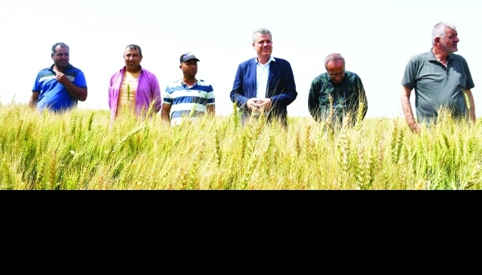 CHP Adana Milletvekili Ayhan Barut 