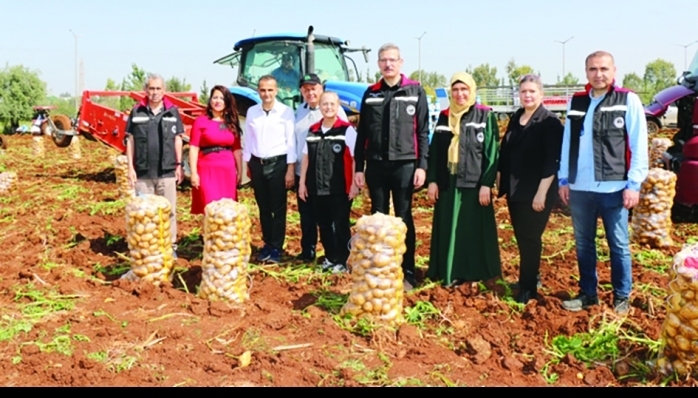 Adana İl Tarım ve Orman Müdürü Mehmet Nuri Kökçüoğlu, bu yıl geçen yıla göre ekim alanı ve üretimde yüzde 10’luk bir artış beklediklerini ifade etti.