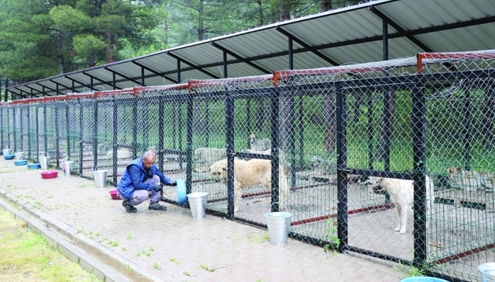 Pozantı Belediyesi ile Mutlu Patiler Derneği ve Meyako Derneği İşbirliğinde yapılan sözleşme gereği Pozantı ilçesinde yapılacak olan 1.00 köpek kısırlaştırma projesine başlandı.