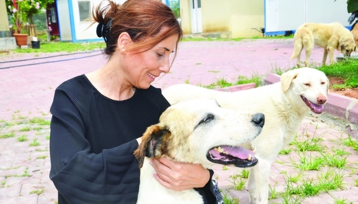 SEYHAN BELEDİYE BAŞKANI TEKİN, “KÖPEKLE KONUŞAMAZSINIZ DA BELEDİYEYLE NİYE KONUŞMAZSINIZ?” DEDİ